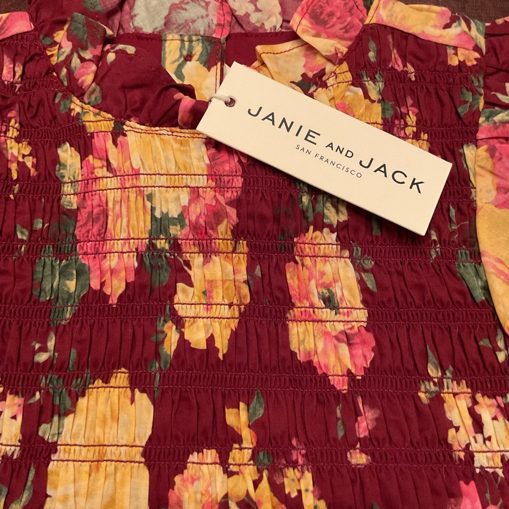 Janie and Jack Burgundy Floral Dress